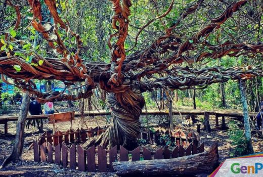 Yuk, Wisata Fantasi ala “Middle Earth” di Pohon Trinil - GenPI.co