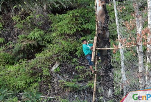 Pembangunan Berbasis Konservasi Harus Memberi Manfaat pada Masyarakat - GenPI.co