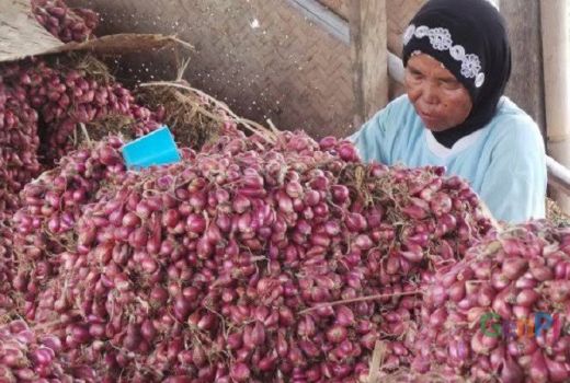 Brebes Surganya Telur Asin dan Bawang Merah, Toko Termurah Ada Disini! - GenPI.co