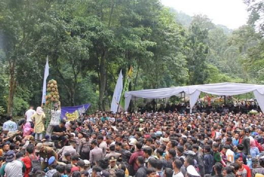 15.000 Wisatawan Kunjungi Festival Durian Lolong - GenPI.co