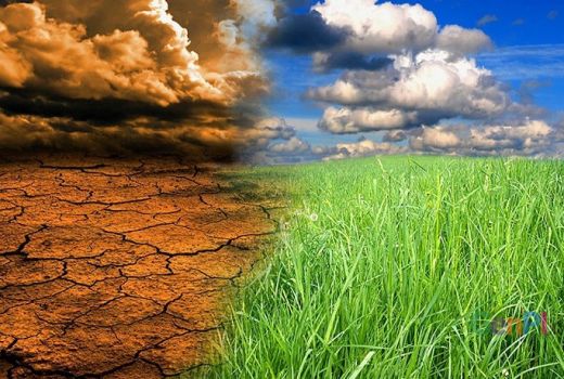 Hadapi Perubahan Iklim, Indonesia Perlu Galakkan Mitigasi Bencana Sejak Dini - GenPI.co