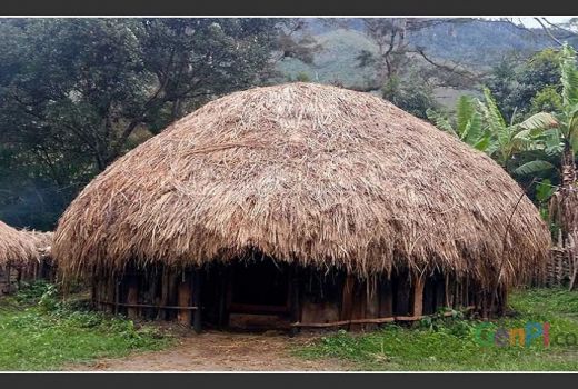 Fakta Unik Honai Rumah Adat Papua, No 1 Bikin Kamu Terkejut! - GenPI.co