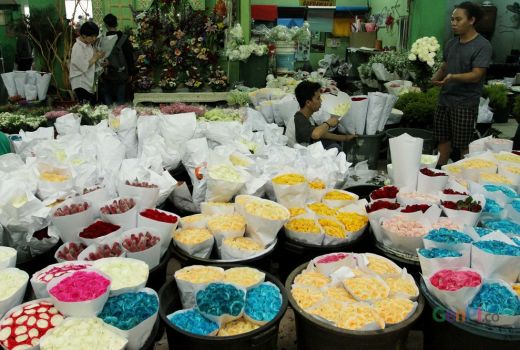 Jelang Valentine, ini Bunga-bunga yang Diburu di Pasar Rawa Belong - GenPI.co