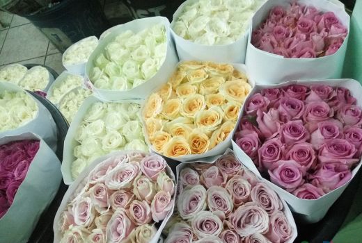 Jelang Valentine, Harga Mawar Merah Naik 3 Kali Lipat Di Pasar Rawa Belong - GenPI.co