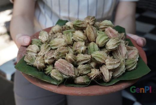 Renggak, Buah Khas Lombok yang Kaya Manfaat - GenPI.co