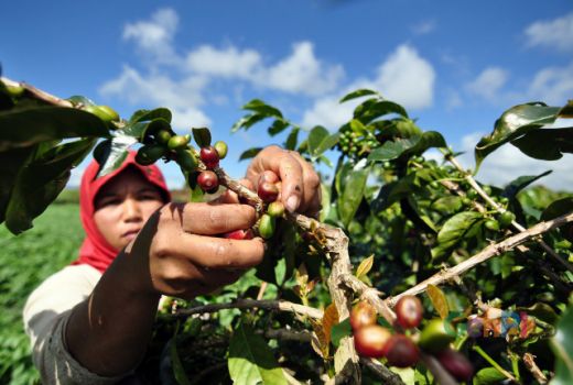 Starbucks Libatkan Petani Kopi Lokal dalam Inovasi Produk Espressonya - GenPI.co