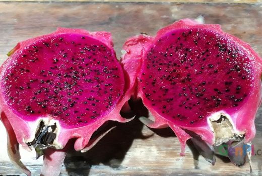 Pariwisata Bisa Dongkrak Harga Buah Naga - GenPI.co