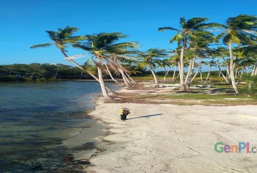 Serunya Berlibur di Hutan Mangrove Teluk Sebong - GenPI.co