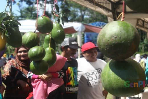 Pertama Kali di Indonesia, Festival Alpukat Ada di Pasuruan - GenPI.co