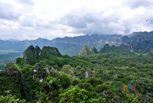 Lukisan Tertua Di Dunia Ada di Kalimantan - GenPI.co