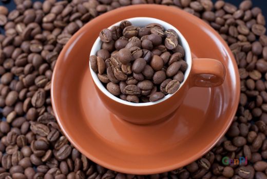 Jadi Penghasil Robusta Terbesar, Brand Kopi Sumsel Malah Kurang Populer - GenPI.co