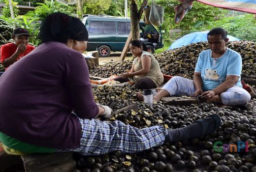 Jelang Ramadhan, Bisnis Kolang Kaling Mulai Menggeliat - GenPI.co