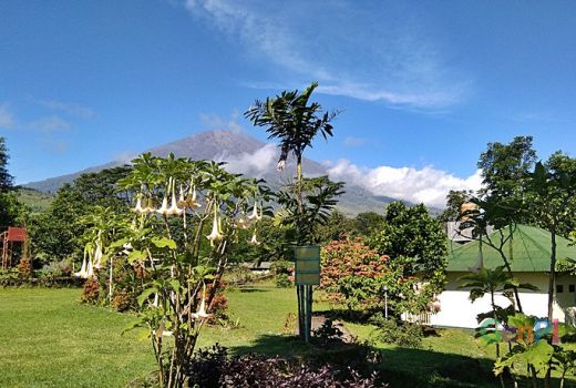 Menikmati Sembalun dari Lembah Rinjani - GenPI.co