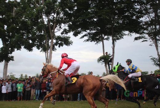 Riuhnya Balap Kuda, Roda Sapi dan Gerobak Kuda Di Gorontalo - GenPI.co