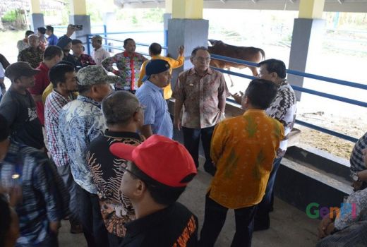 Kembangkan Ternak Sapi Jurus Jitu Turunkan Angka Kemiskinan - GenPI.co
