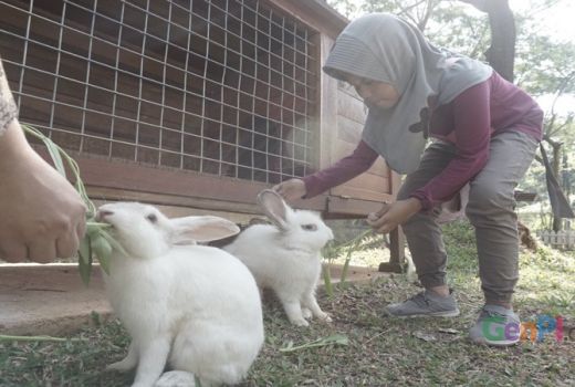 Sambut Hari Keluarga Nasional, Bunda Bisa Ajak Anak ke Sini! - GenPI.co