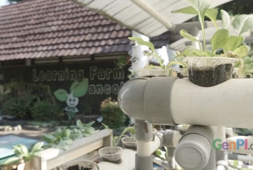 5 Manfaat Mengajak Anak Belajar Berkebun - GenPI.co
