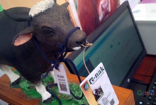Wuiih, Sapi di Banyuwangi Punya KTP dan Asuransi, Loh! - GenPI.co