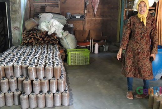 Dusun Kunci, Wonosobo, Berupaya jadi Sentra Jamur - GenPI.co