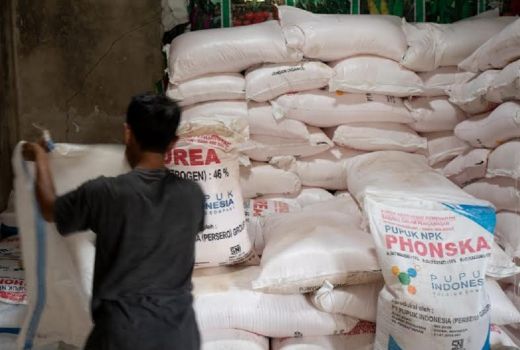 Tindak Pengecer Nakal, ini Usul Dinas Pertanian Lombok Timur - GenPI.co NTB