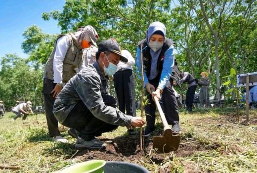 Pesan Bu Wagub, Teruslah Menanam! - GenPI.co NTB