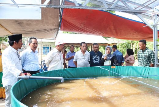 Wabup Dompu Dukung Budidaya Lele - GenPI.co NTB