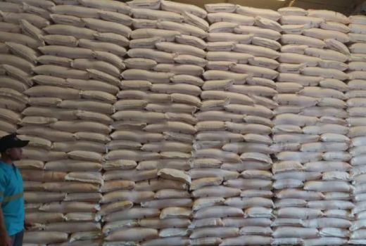 Peringatan Keras Pusri NTB Bagi yang Mainkan Harga Pupuk Subsidi - GenPI.co NTB