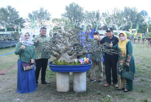 Wah, Cantik-cantik Bonsai di Dayan Gunung - GenPI.co NTB