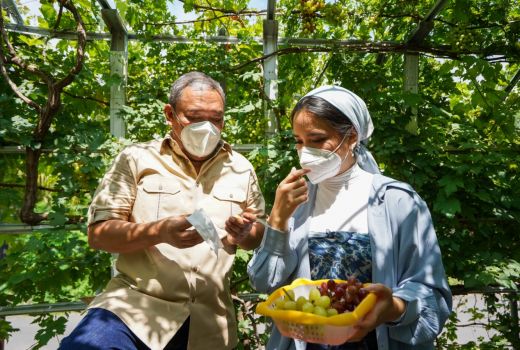 Kampung Anggur di Lotara Layak Dikembangkan - GenPI.co NTB