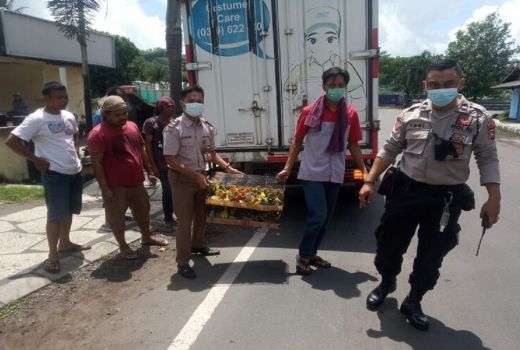 Selama 2021, Perdagangan Ilegal Ribuan Burung dari NTB Digagalkan - GenPI.co NTB