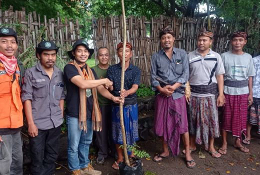 Target Pawang Rinjani Berikutnya, Tanam Pohon di Sembalun - GenPI.co NTB