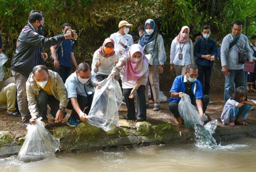 Bu Wagub Tebar 100 Ribu Bibit Ikan, Ada Apa? - GenPI.co NTB