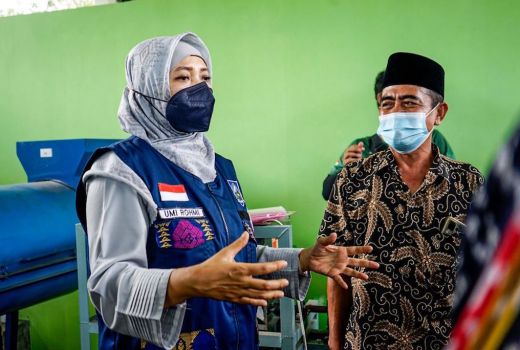 Sampah Lingkar Mandalika Jadi Pembahasan Serius - GenPI.co NTB