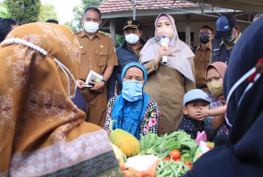 Kunjungi Lotim, Wagub NTB Pastikan Program Pemprov Berjalan Baik - GenPI.co NTB