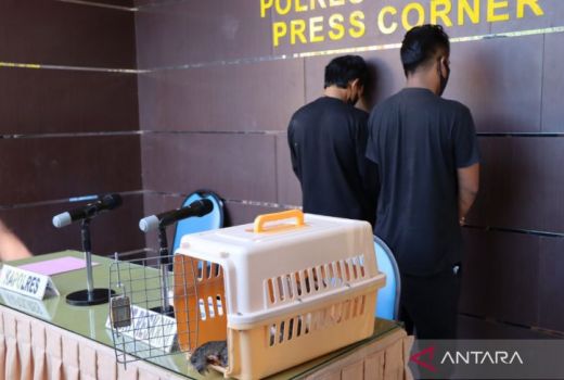 Tega, Pemuda Ini Siksa Kucing dengan Petasan - GenPI.co NTB