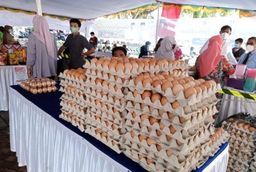 Jaga Stabilitas Harga, Telur dari Luar Kembali Masuk Mataram - GenPI.co NTB