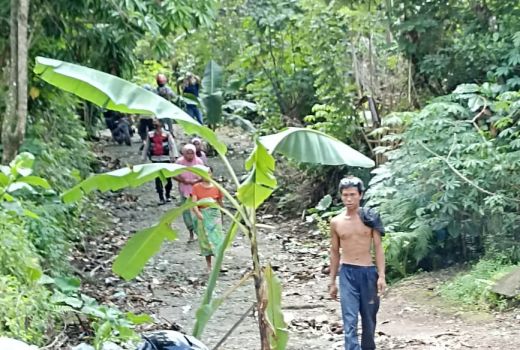 Jalan Menuju Danau Biru Rusak, Warga Protes dengan Tanam Pisang - GenPI.co NTB