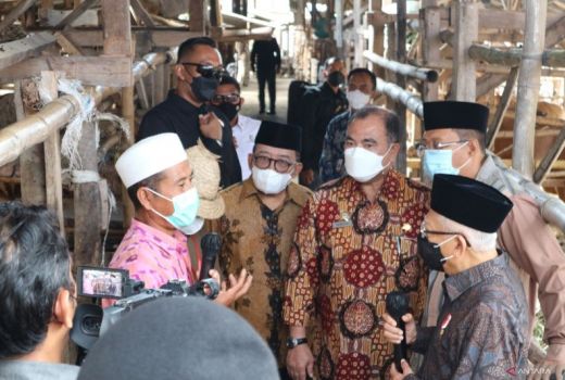 Peternak Lobar Curhat ke Wapres Soal Virus PMK, Begini Isinya - GenPI.co NTB