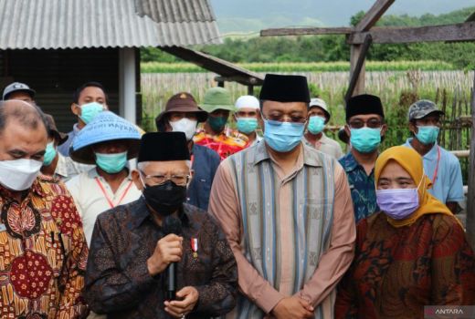 Wapres Ajak Sikapi Perbedaan Idul Adha dengan Legawa - GenPI.co NTB