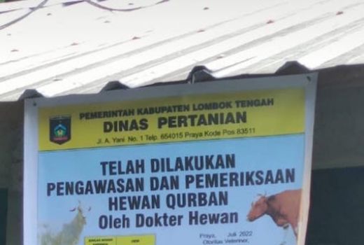 Kambing Kurban, Distanak Loteng Klaim dalam Kondisi Sehat - GenPI.co NTB