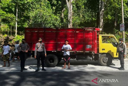 Atisipasi PMK, Polres Lotara Perketat Lalu Lintas Hewan Ternak - GenPI.co NTB
