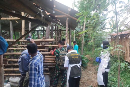 Tim Gabungan Bentuk Satgas PMK, Ini Tugas Penting yang Dilakukan - GenPI.co NTB