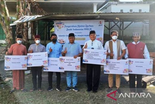 13 Sapi dan 11 Kambing, BI NTB Sebar Hewan Kurban - GenPI.co NTB