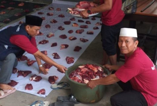 Distan Mataram Temukan 5 Hewan Kurban Alami PMK Ringan - GenPI.co NTB