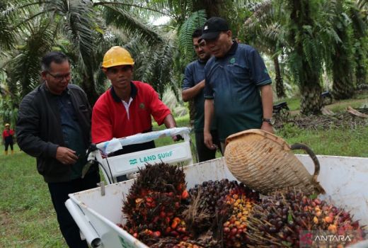 Calon Pekerja Migran Jangan Mudah Terbujuk Rayuan Calo - GenPI.co NTB