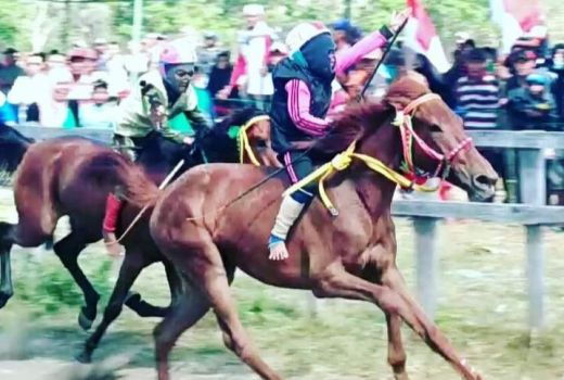 Terkait Joki Cilik, Ini Harapan Ketua Komisi Pacuan Kuda NTB - GenPI.co NTB