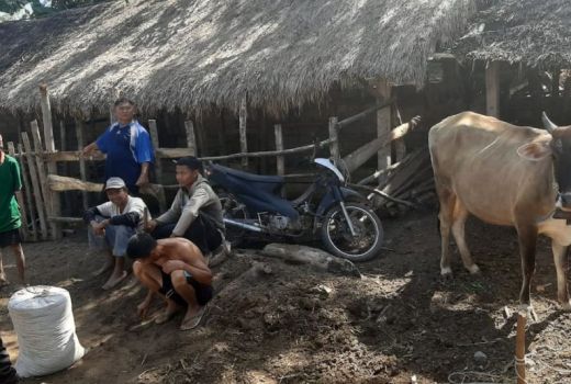 Ada Hoaks Soal PMK di Lobar, Kapolres Ancam Tindak Tegas - GenPI.co NTB