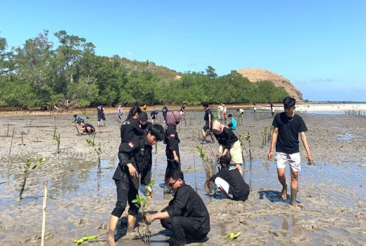 Jaga Lingkungan Pesisir, Karang Taruna-Bapera Tanam 10.000 Bakau - GenPI.co NTB