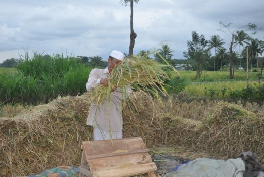 Ngerampek di Lombok, Perlahan Hilang Ditelan Waktu - GenPI.co NTB