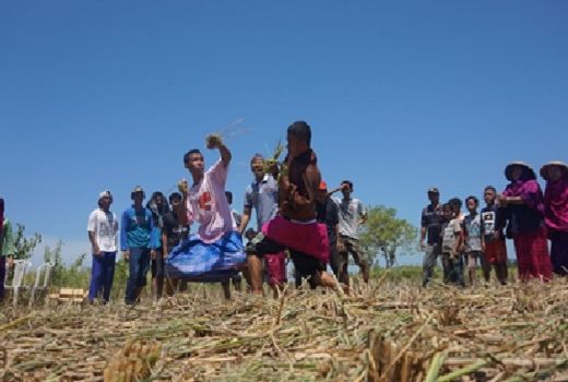 Permainan Barempuk, Wujud Syukur Petani Sumbawa - GenPI.co NTB